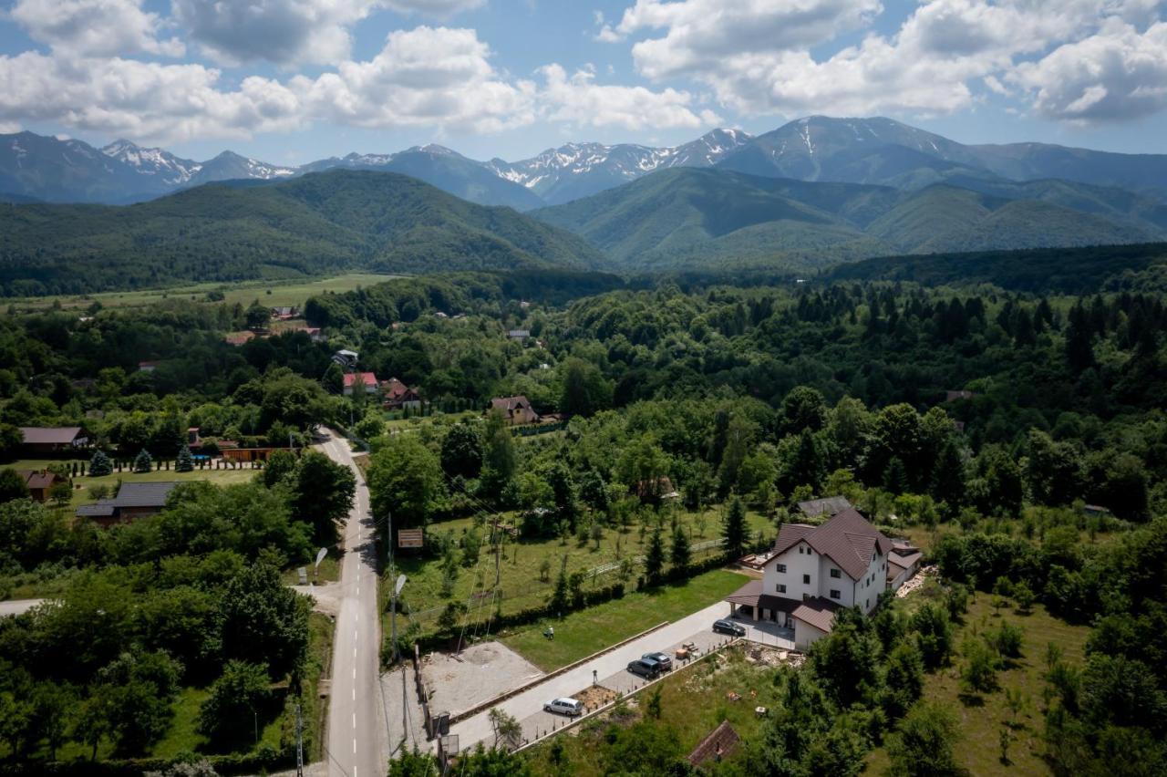 Evergreen Chalet Avrig Esterno foto