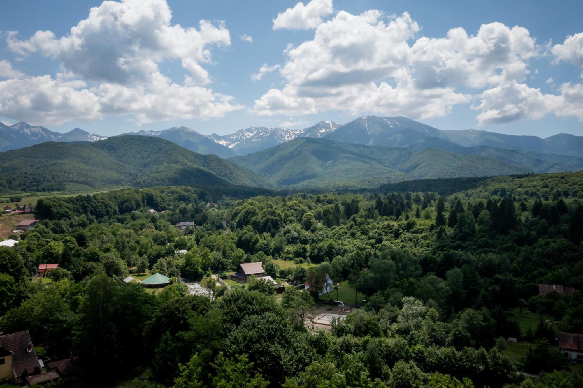 Evergreen Chalet Avrig Esterno foto